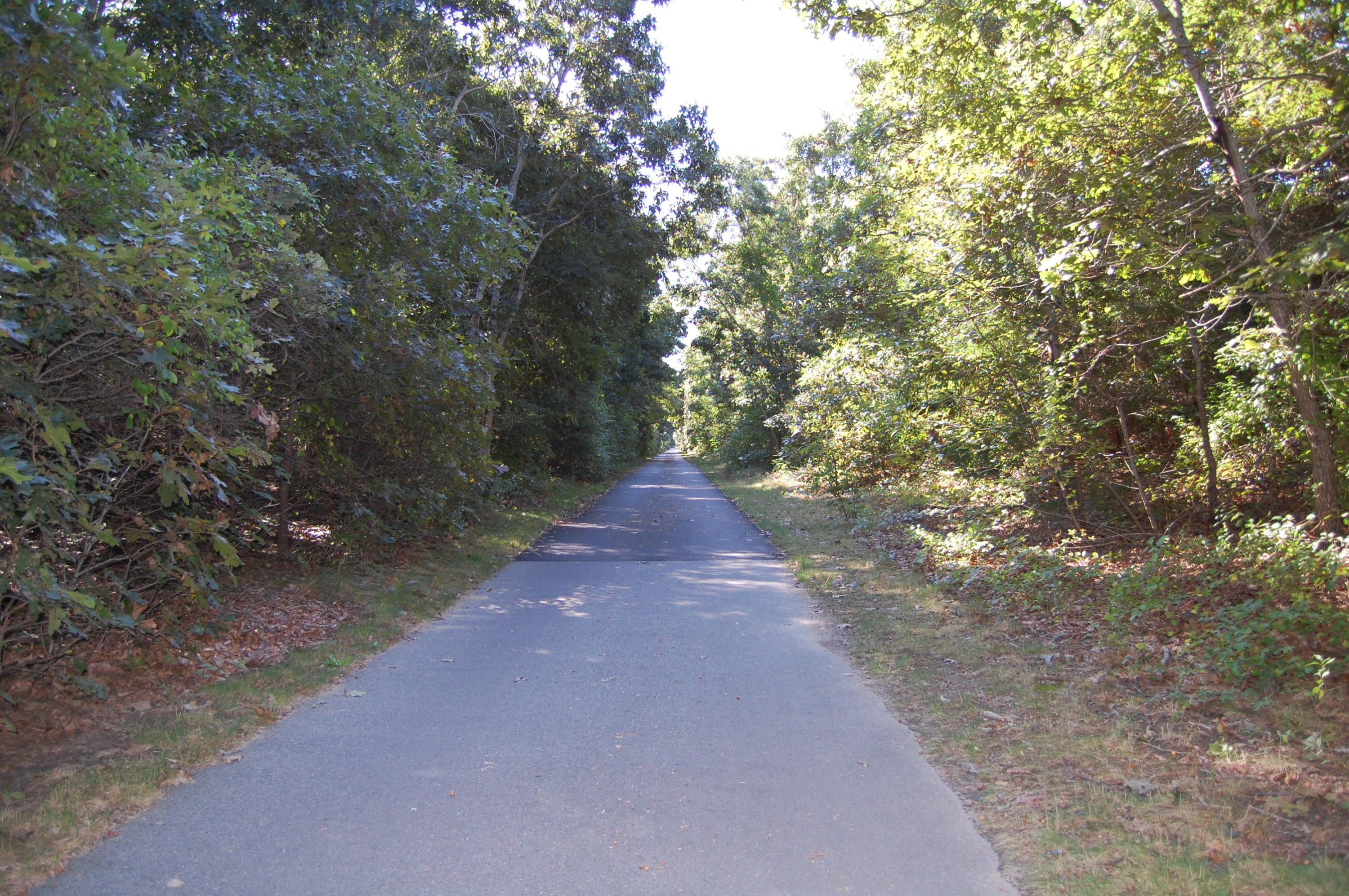 495 Campground Road Eastham, MA 02642 - Photo 21 of 22 Cape Cod Rail Trail