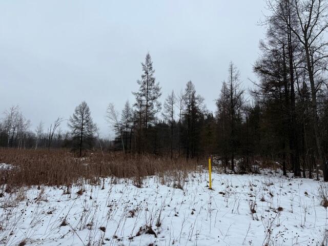 7 7 Mile Road Lakeview, MI 48850 - Photo 3 of 4