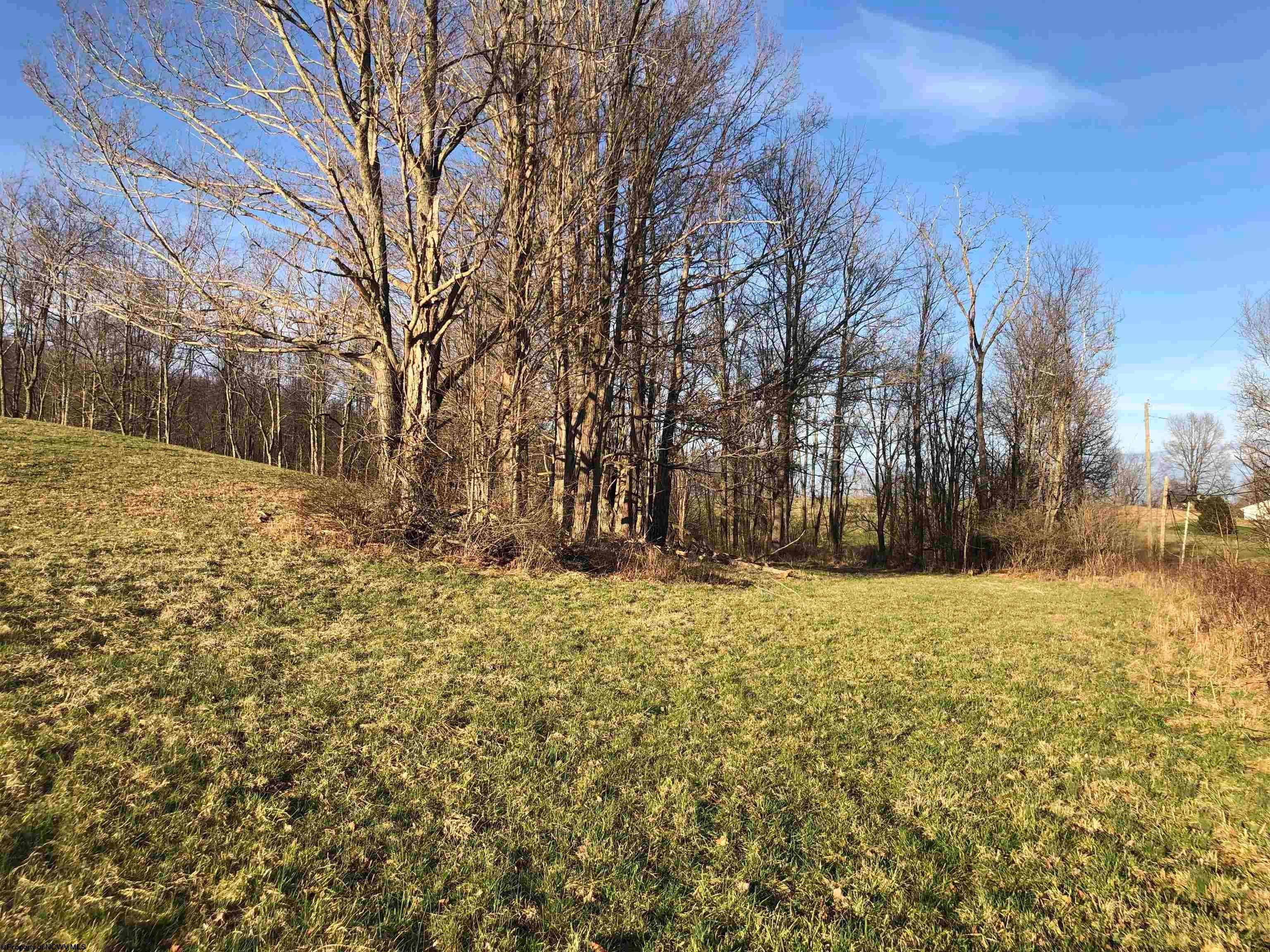 121 McClellan Road Philippi, WV 26416 - Photo 6 of 14 Gallery Image 6