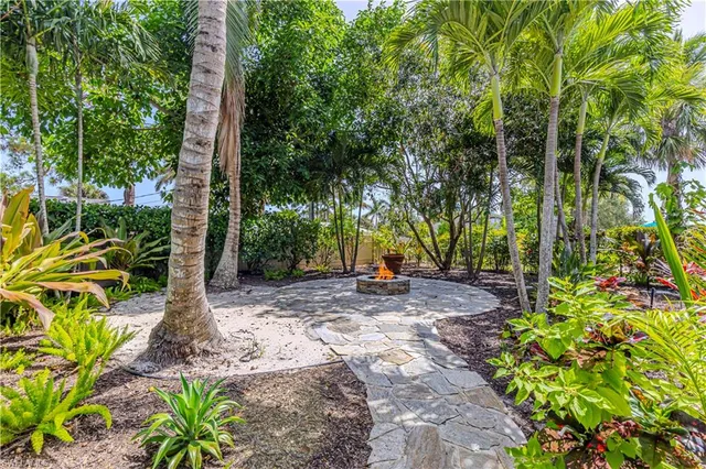 a view of a backyard