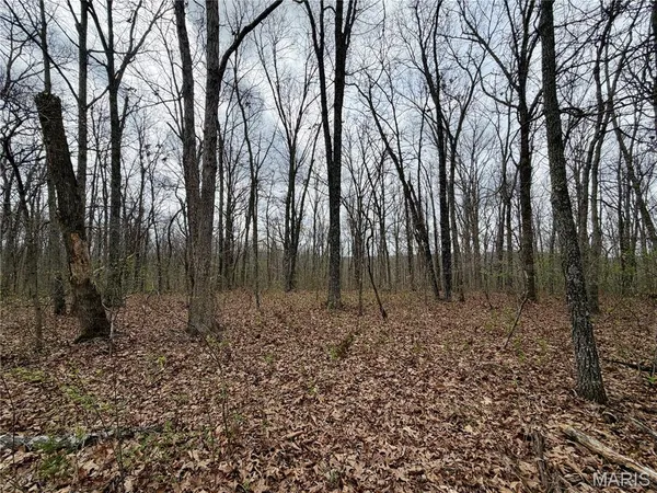$89,900 | 0 Tbd Cr, Salem, MO 65560