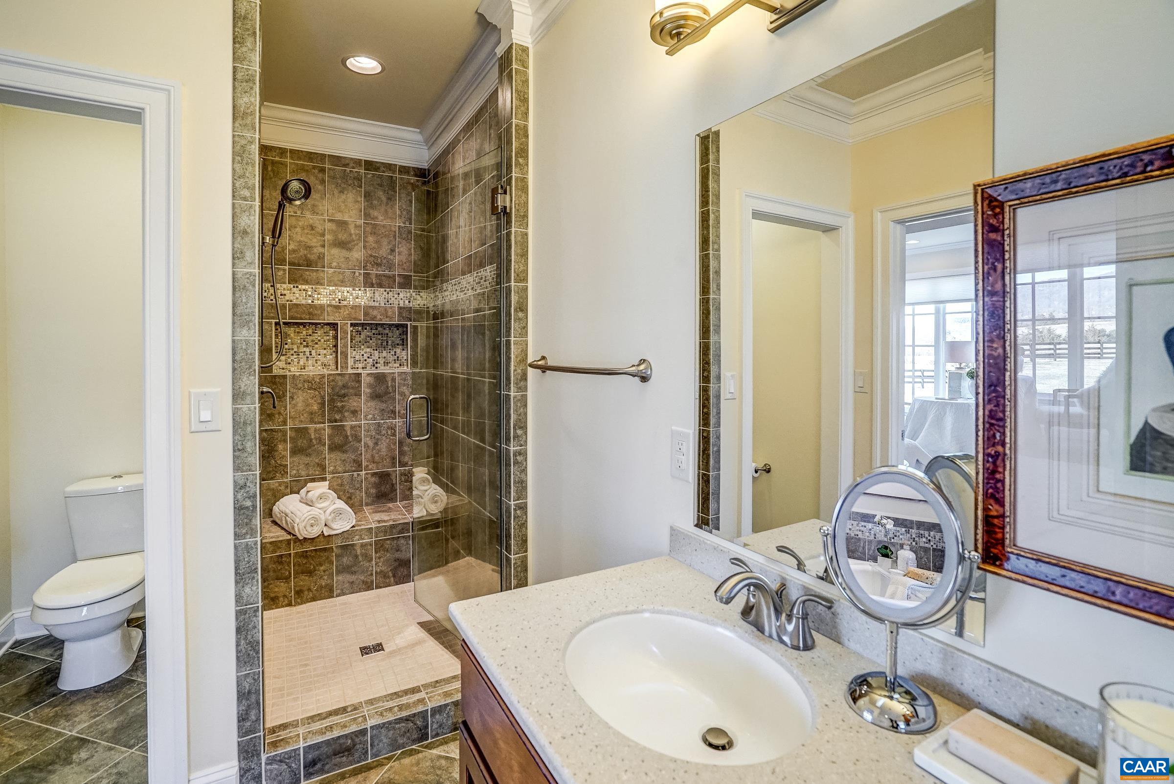 801 Half Mile Branch Road Crozet, VA 22932 - Photo 39 of 69 a bathroom with a sink a toilet and shower