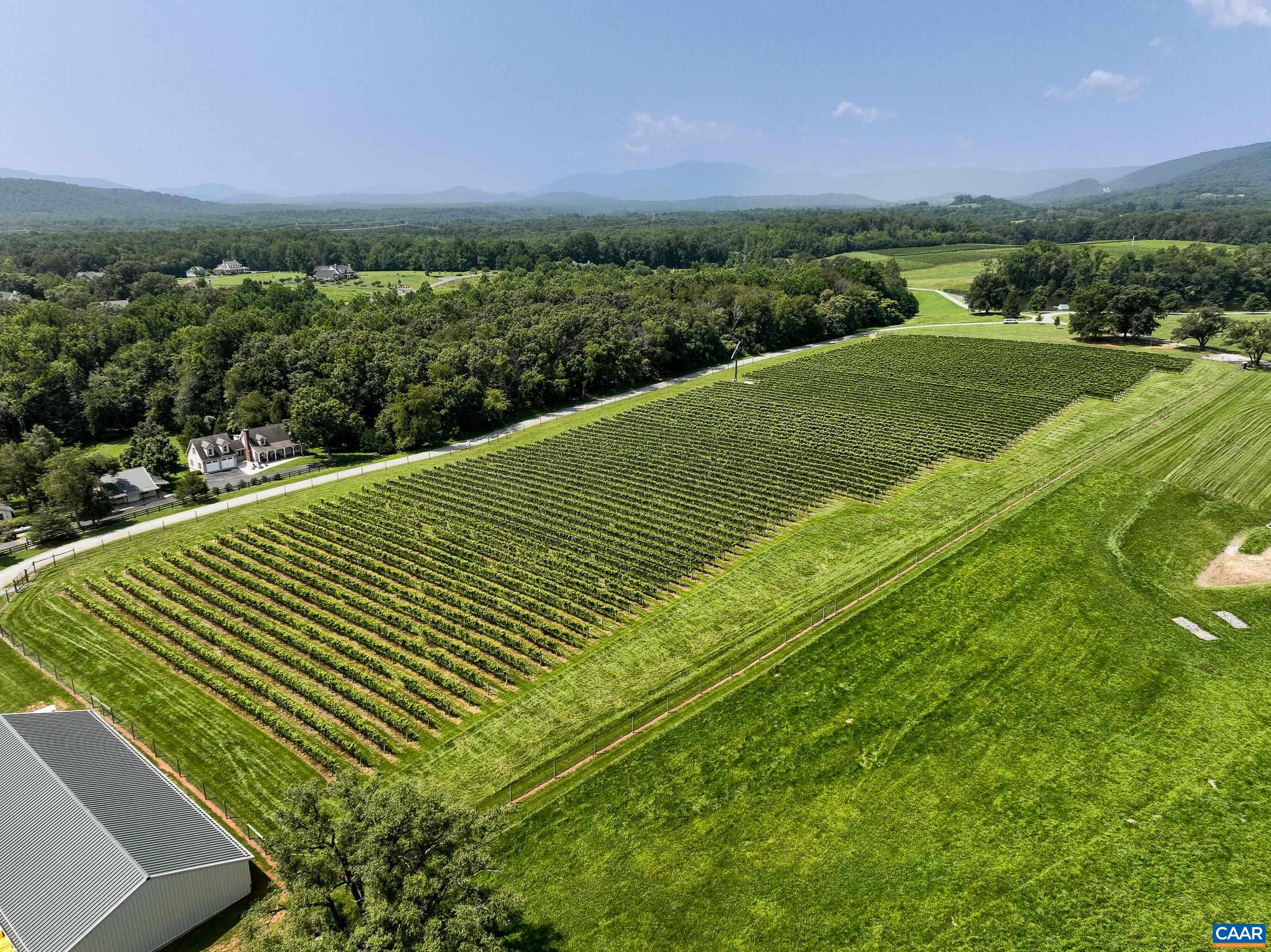 801 Half Mile Branch Road Crozet, VA 22932 - Photo 62 of 69 a view of a green field with an outdoor space
