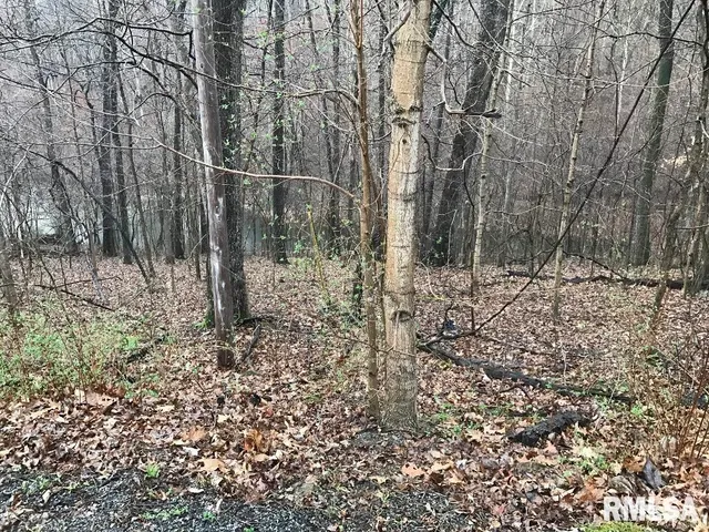 $27,000 | 0 Deer Ridge Road, Goreville, IL 62939