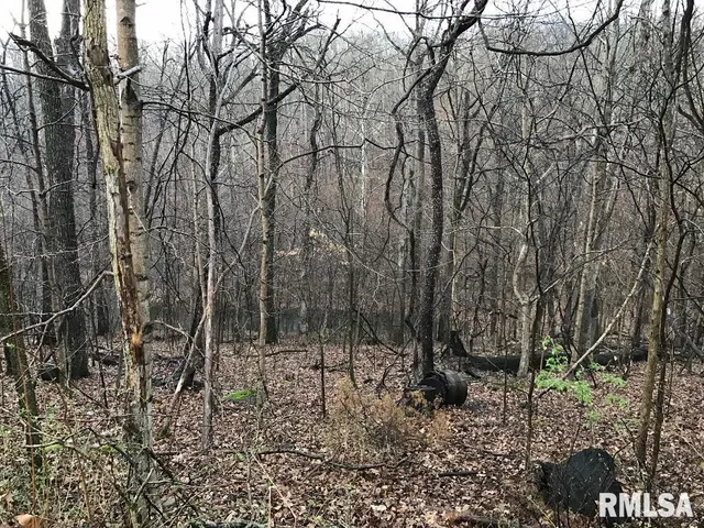 $27,000 | 0 Deer Ridge Road, Goreville, IL 62939