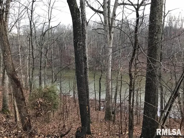 $27,000 | 0 Deer Ridge Road, Goreville, IL 62939