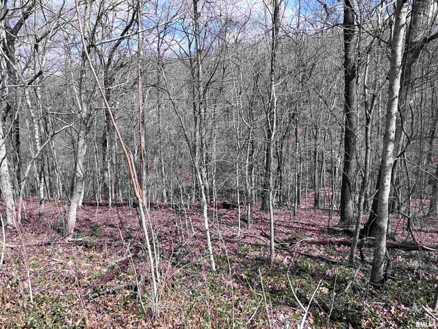 $27,000 | 0 Deer Ridge Road, Goreville, IL 62939