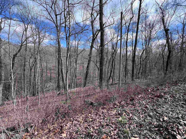 $27,000 | 0 Deer Ridge Road, Goreville, IL 62939