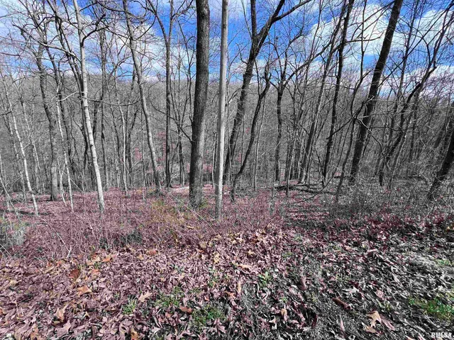 $27,000 | 0 Deer Ridge Road, Goreville, IL 62939