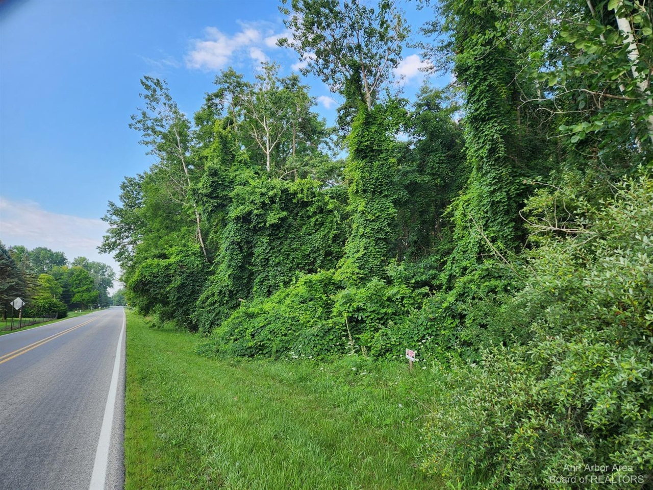 0 Plank Road Milan, MI 48160 - Photo 2 of 3