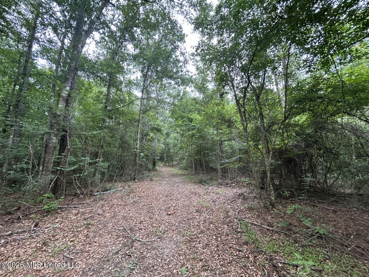 6643 Grange Hall Road Osyka, MS 39657 - Photo 29 of 39 IMG_4464 Large