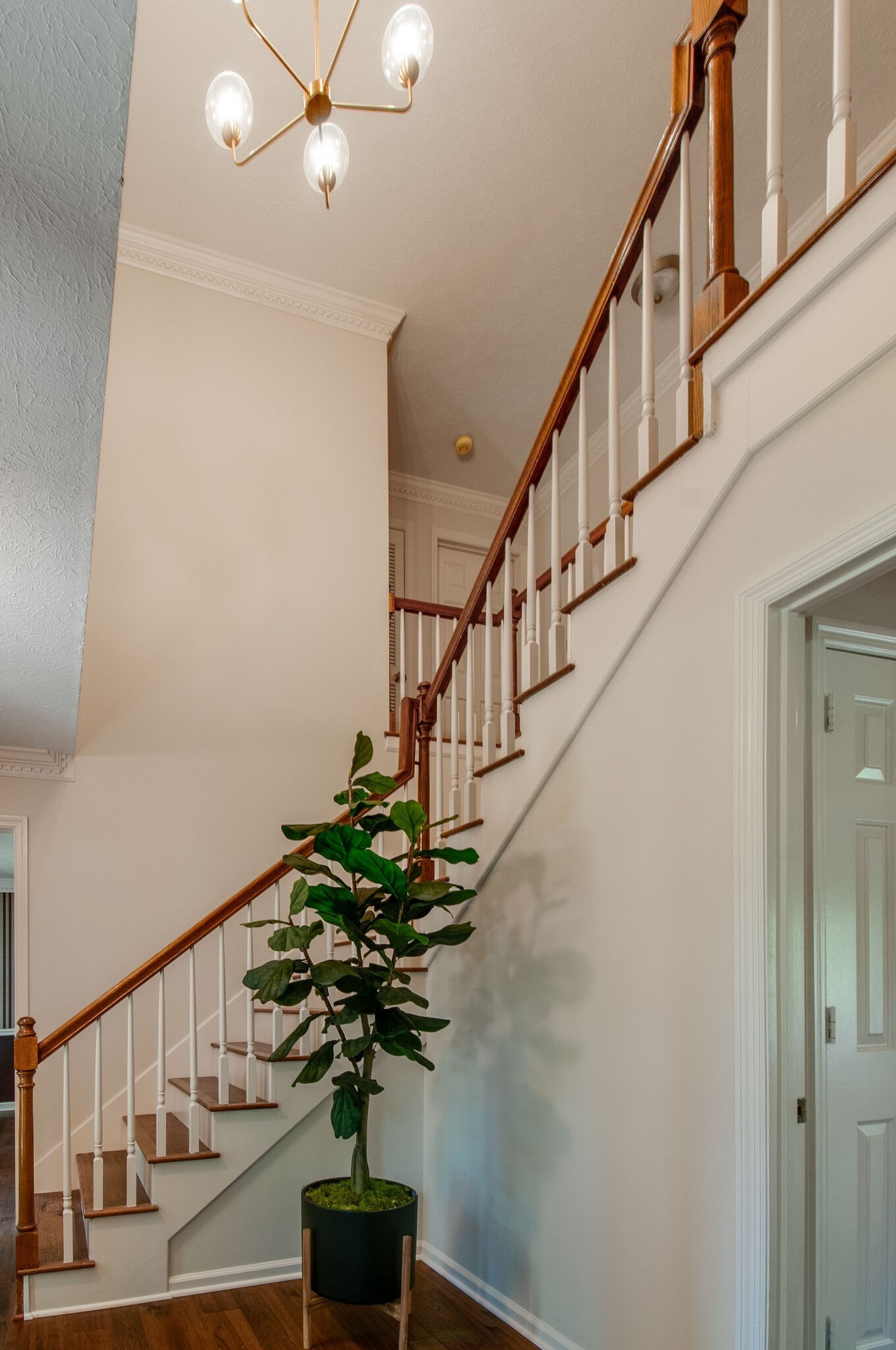 217 Baltusrol Road Franklin, TN 37069 - Photo 8 of 17 Gallery Image 8