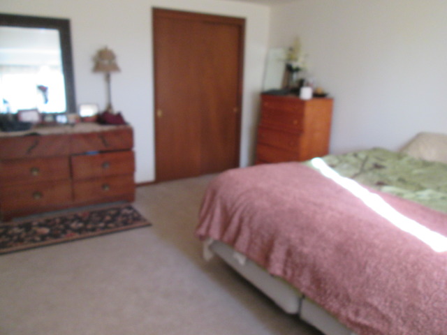 17424 West Rte 17 Reddick, IL 60961 - Photo 22 of 24 a bedroom with a bed and wooden floor
