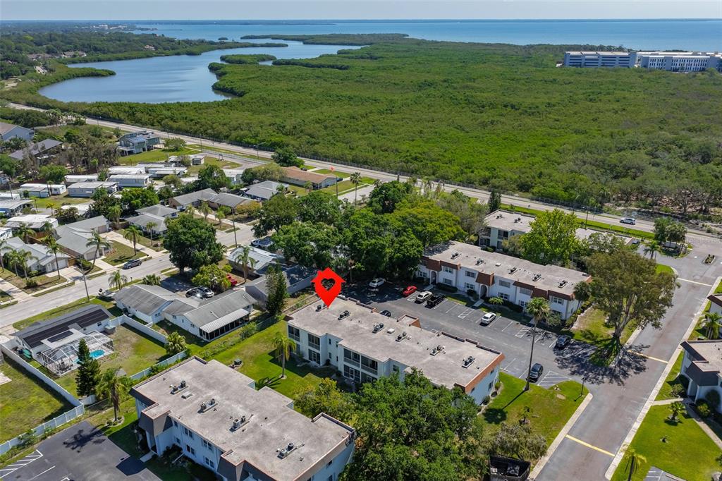 237 South McMullen Booth Road, Unit 50 Clearwater, FL 33759 - Photo 25 of 29