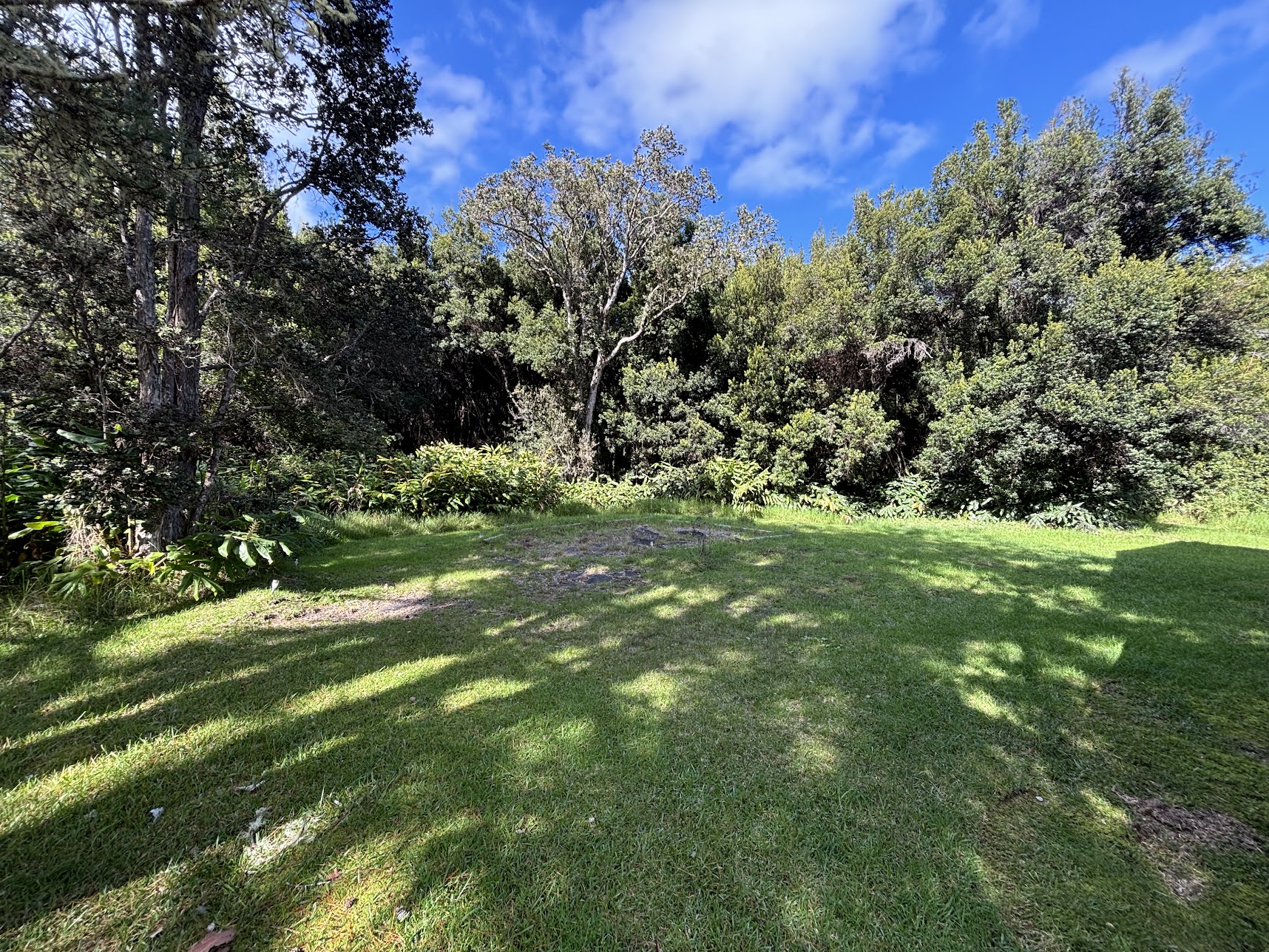 99-7736 Uluhe Place Volcano, HI 96785 - Photo 20 of 22