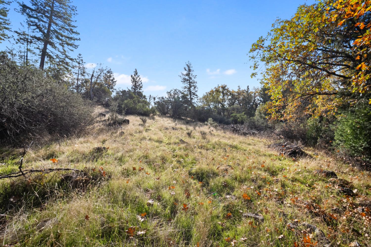 0 Starkes Grade Road Pollock Pines, CA 95726 - Photo 16 of 23
