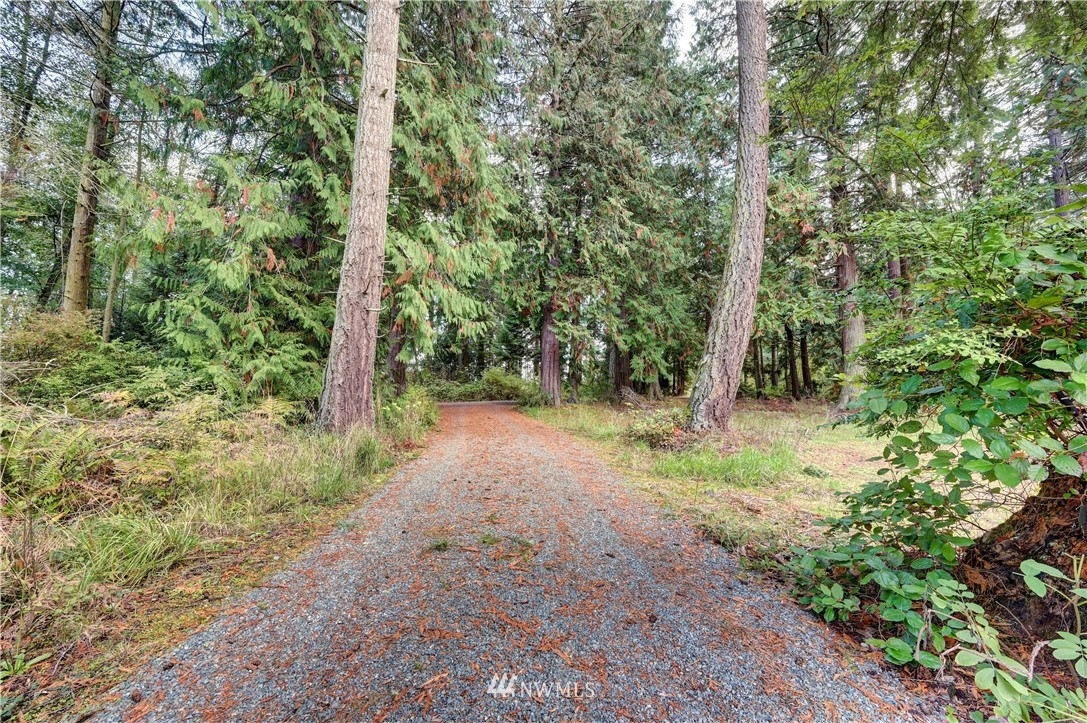 486 Patmore Road Coupeville, WA 98239 - Photo 4 of 20 Gallery Image 4