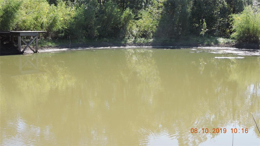 330 County Road 2975 Windom, TX 75492 - Photo 14 of 23 a view of swimming pool with seating