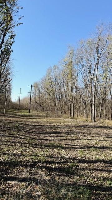 330 County Road 2975 Windom, TX 75492 - Photo 15 of 23 a view of dirt field with trees