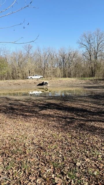 330 County Road 2975 Windom, TX 75492 - Photo 16 of 23 a view of a yard with large trees