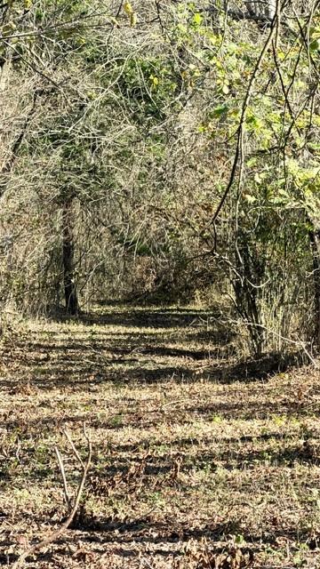 330 County Road 2975 Windom, TX 75492 - Photo 18 of 23 a view of empty room with wooden floor
