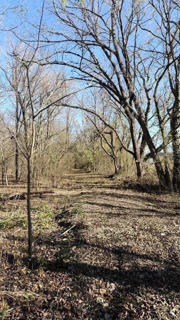 330 County Road 2975 Windom, TX 75492 - Photo 19 of 23 a backyard of a house