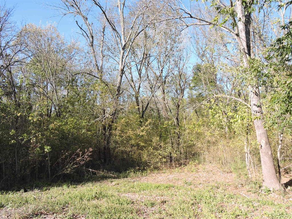 330 County Road 2975 Windom, TX 75492 - Photo 21 of 23 a view of yard covered with snow in outdoor space