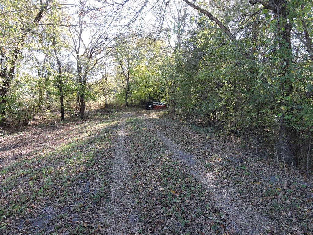 330 County Road 2975 Windom, TX 75492 - Photo 22 of 23 a view of a forest with trees in the background