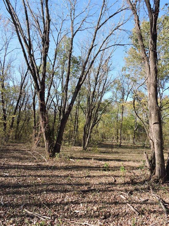 330 County Road 2975 Windom, TX 75492 - Photo 23 of 23 a view of backyard of house