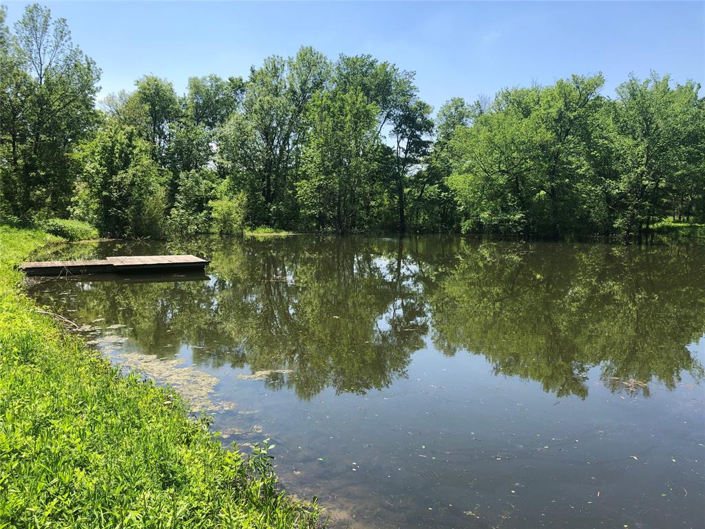 330 County Road 2975 Windom, TX 75492 - Photo 4 of 23 a view of a lake view with a large tree