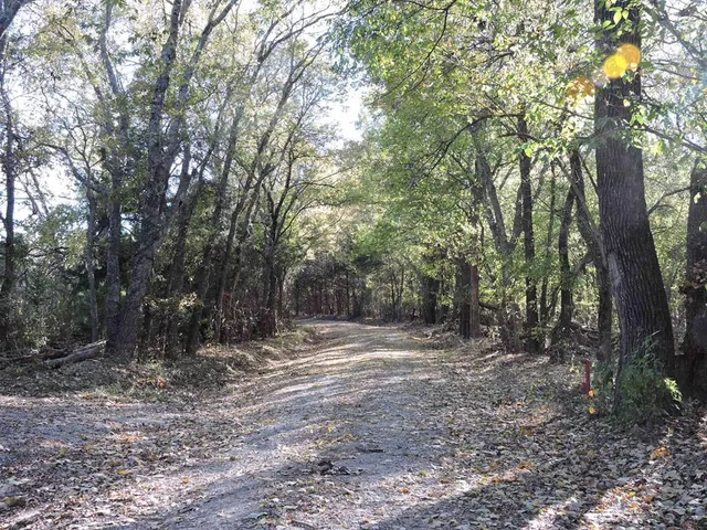 a view of yard with trees