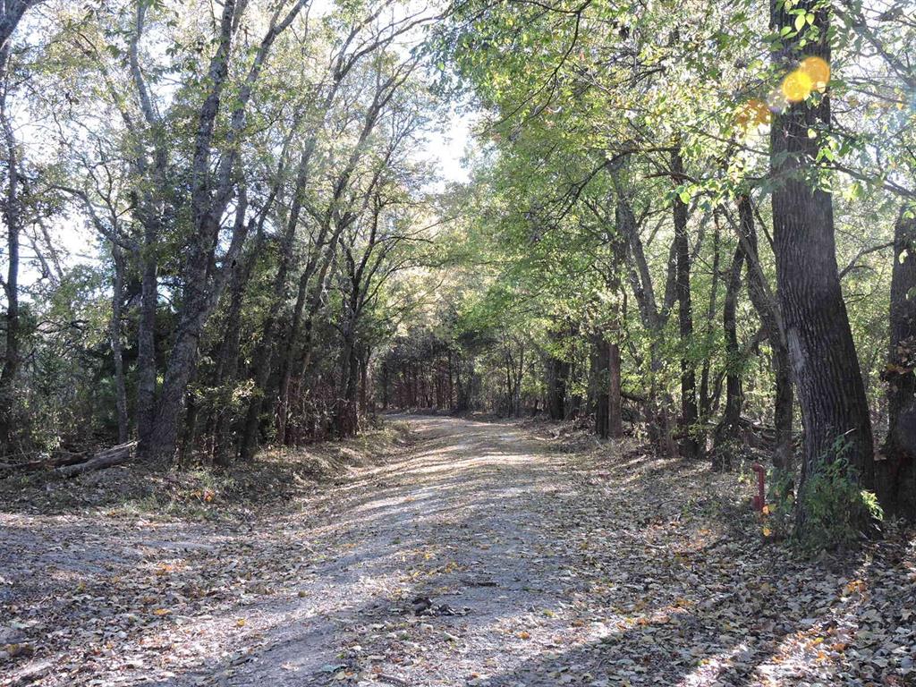 330 County Road 2975 Windom, TX 75492 - Photo 8 of 23 a view of outdoor space with trees