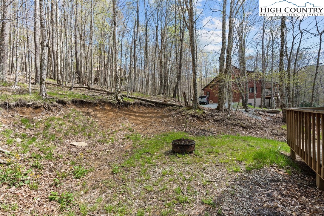 114 Shagbark Road Beech Mountain, NC 28604 - Photo 33 of 35