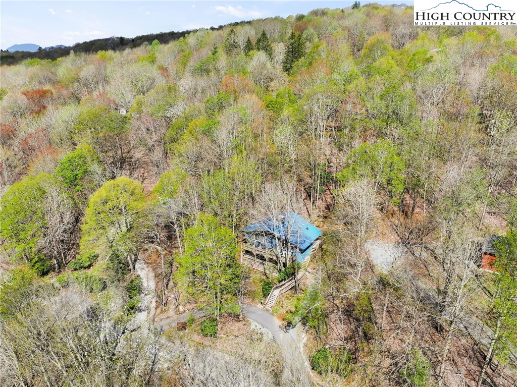 114 Shagbark Road Beech Mountain, NC 28604 - Photo 35 of 35