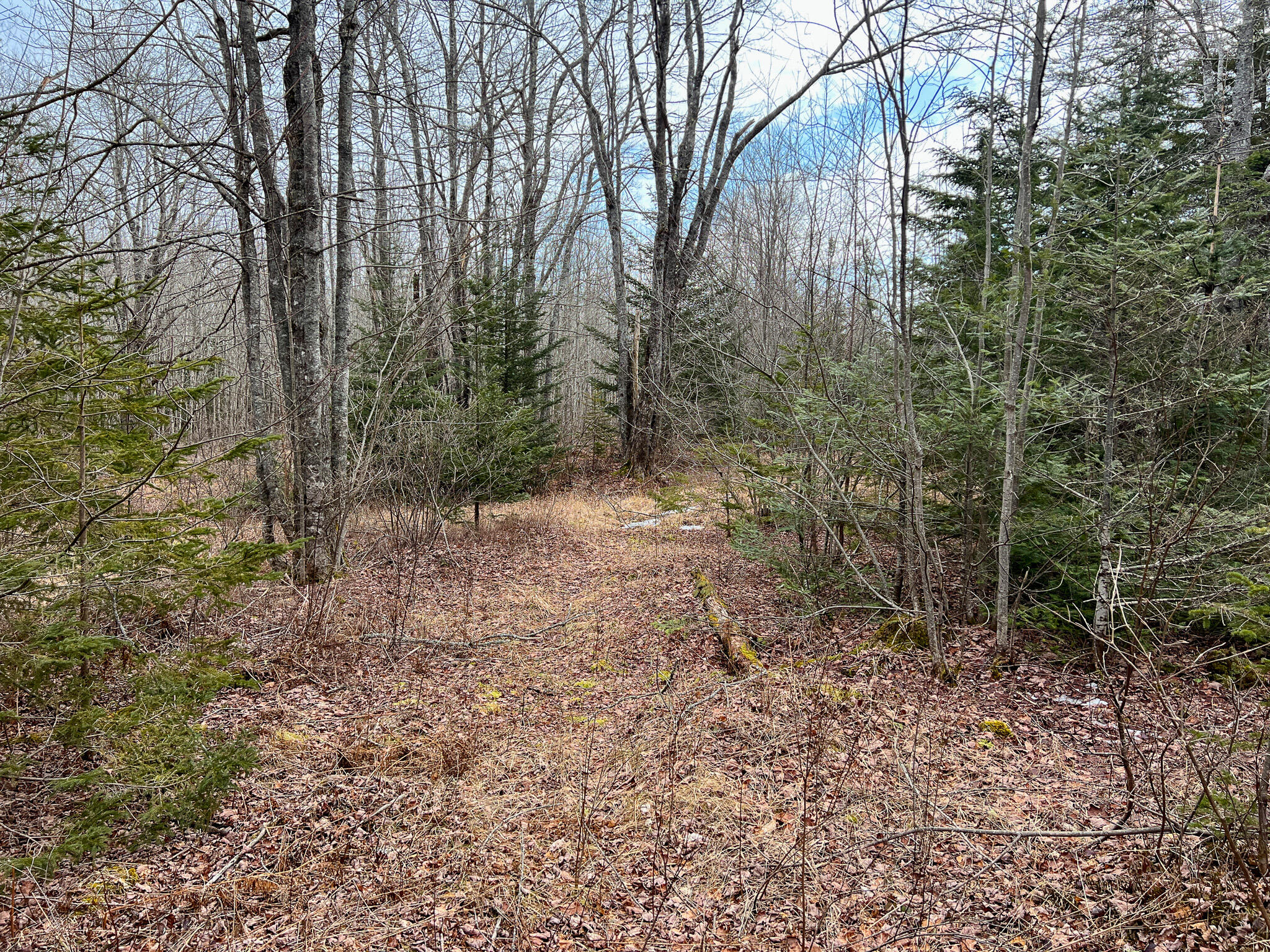 M4-l117 Southwest Crk Road Jonesport, ME 04649 - Photo 14 of 18 IMG_8384