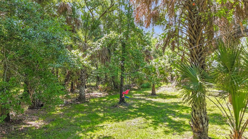 273 Griffin Road Wauchula, FL 33873 - Photo 37 of 48