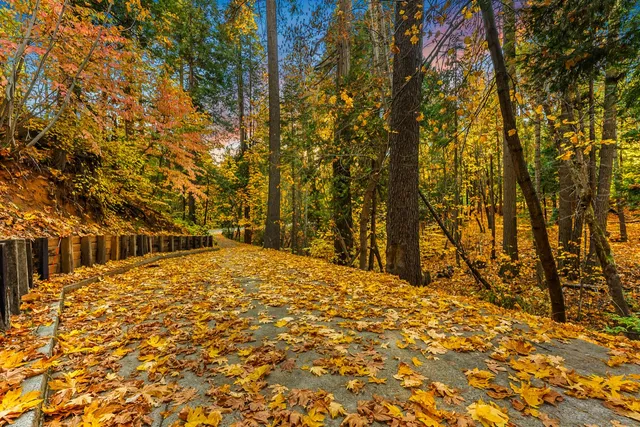 $1,075,000 | 1115 Meadow Drive, Arnold, CA 95223