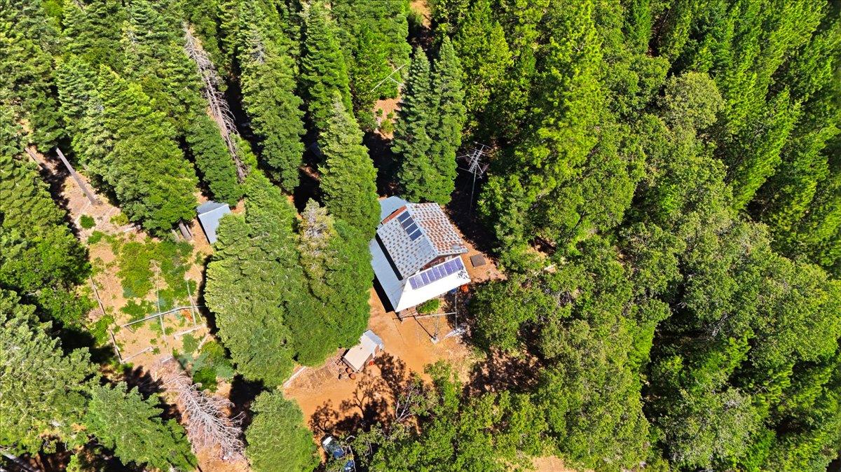 11955 Chalk Bluff Road Nevada City, CA 95959 - Photo 48 of 54 Gallery Image 48