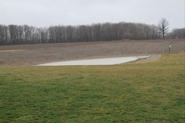 9392 Grafton Road Carleton, MI 48117 - Photo 4 of 19 POND