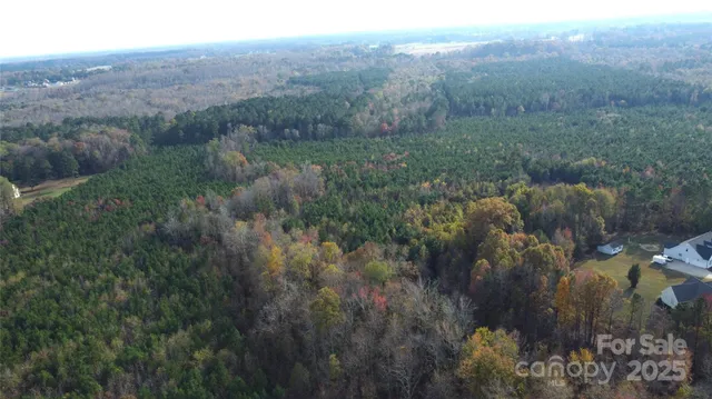 a view of a lush green forest with trees and some houses