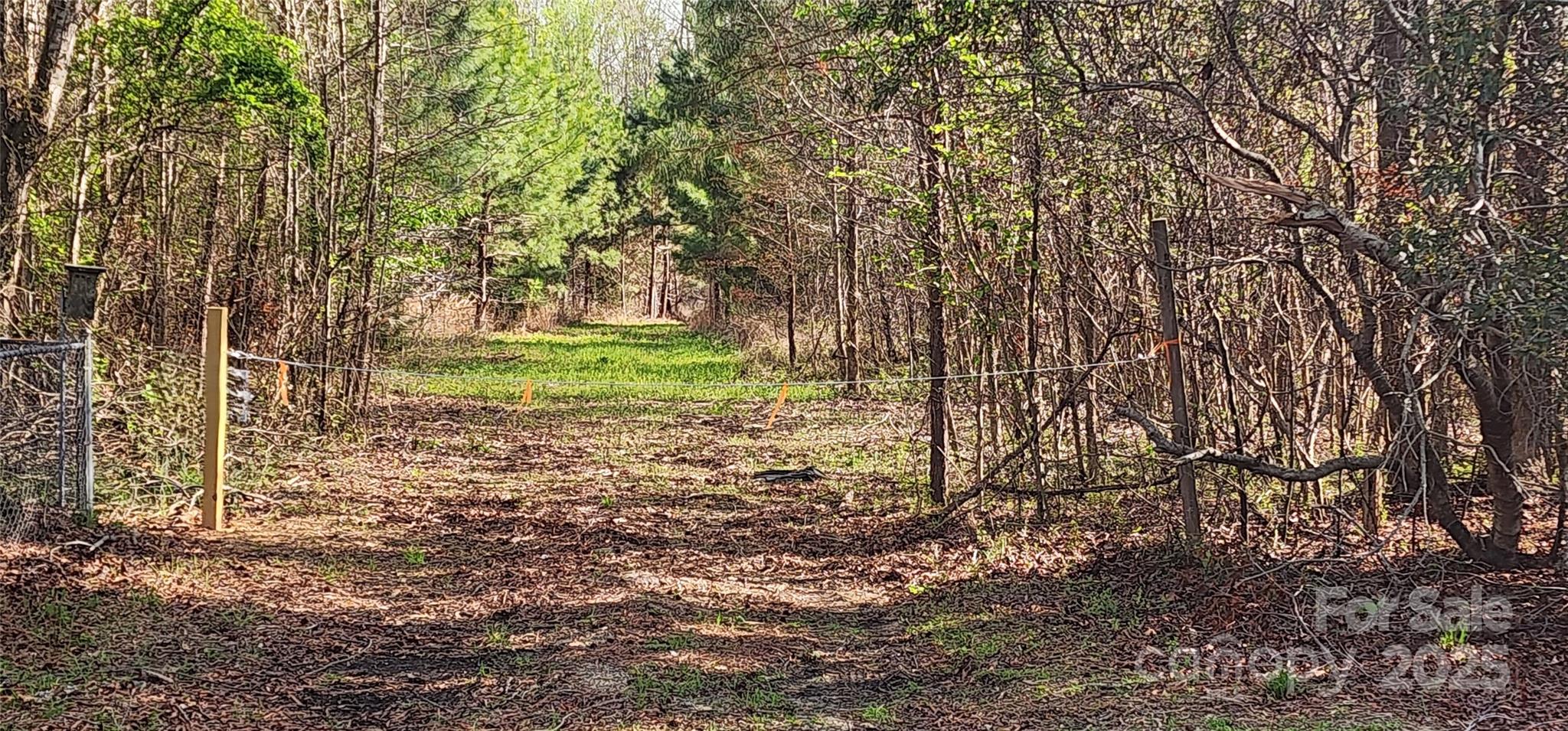 2351 Reges Store Road Nashville, NC 27856 - Photo 13 of 48 a view of outdoor space and yard
