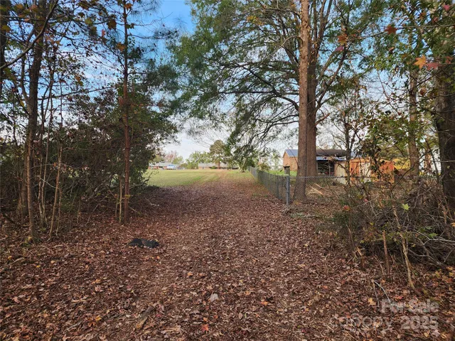 a view of a yard with large trees