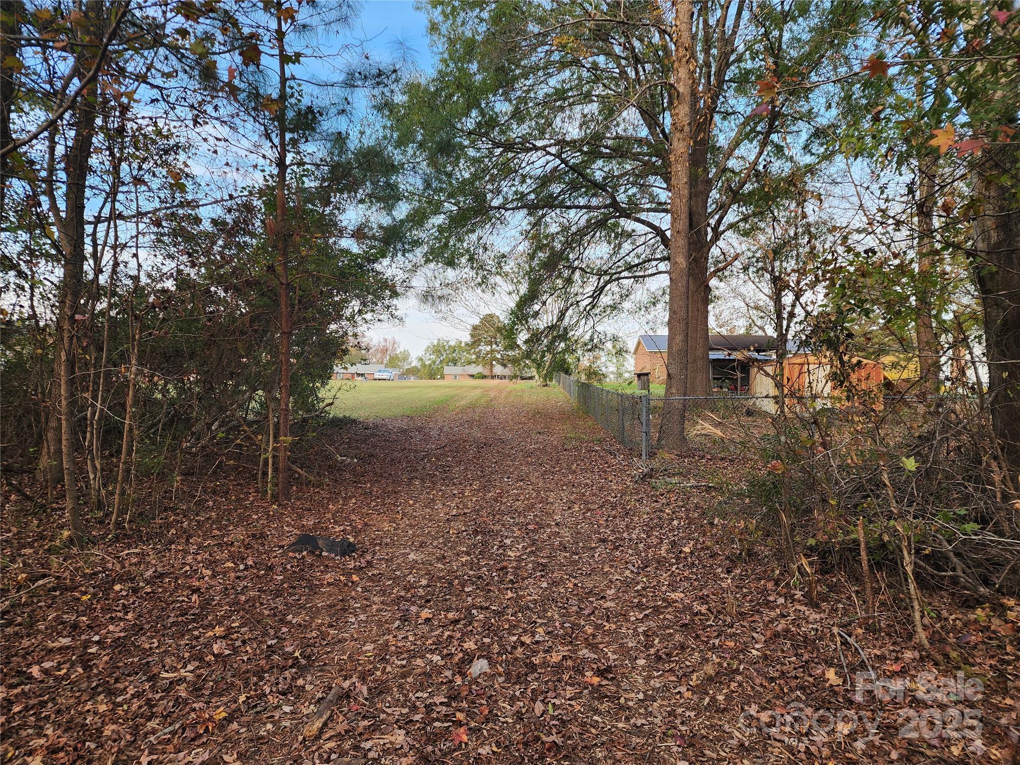 2351 Reges Store Road Nashville, NC 27856 - Photo 14 of 48 a view of a yard with trees
