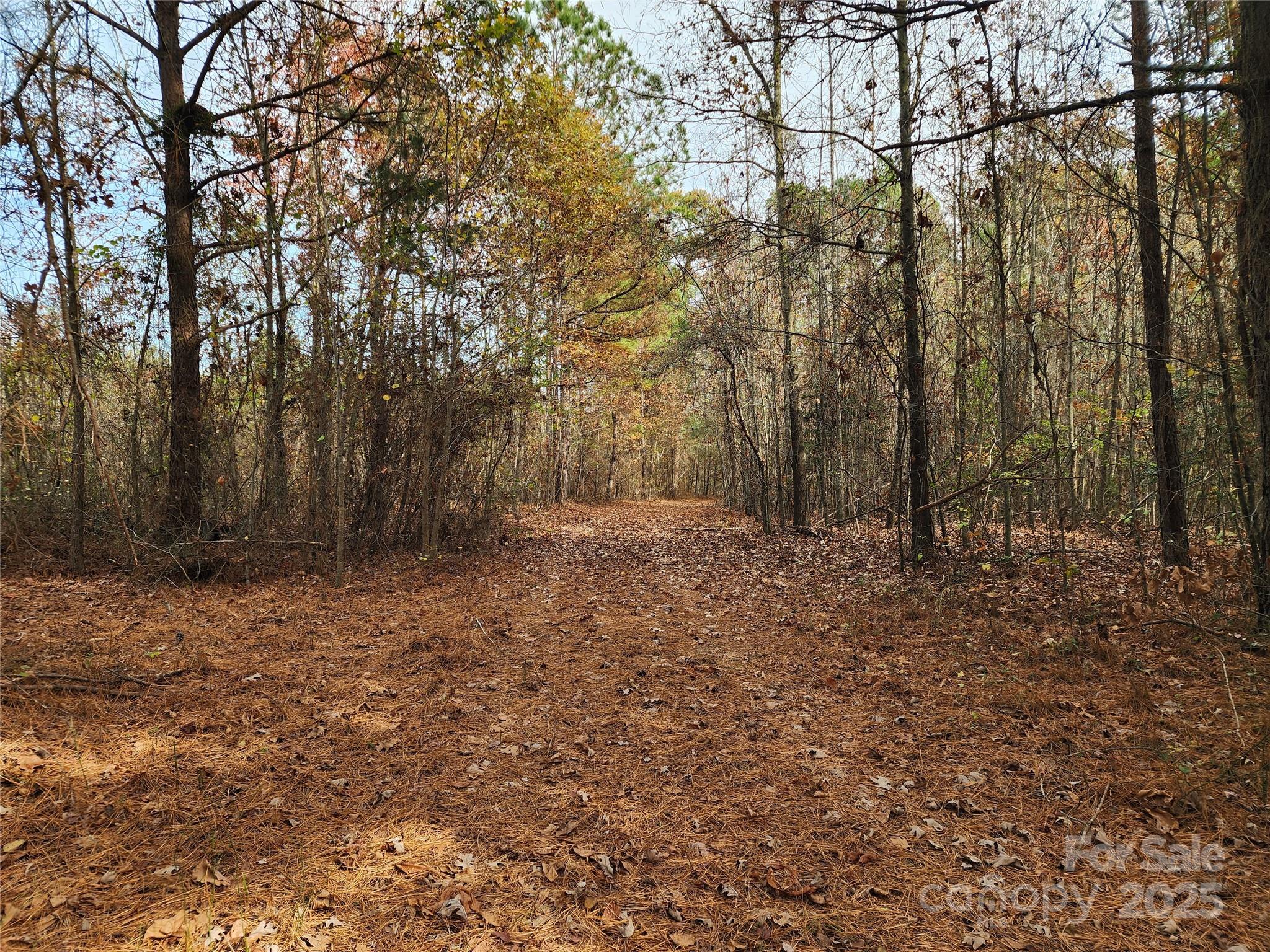 2351 Reges Store Road Nashville, NC 27856 - Photo 15 of 48 a backyard of a house with lots of green space