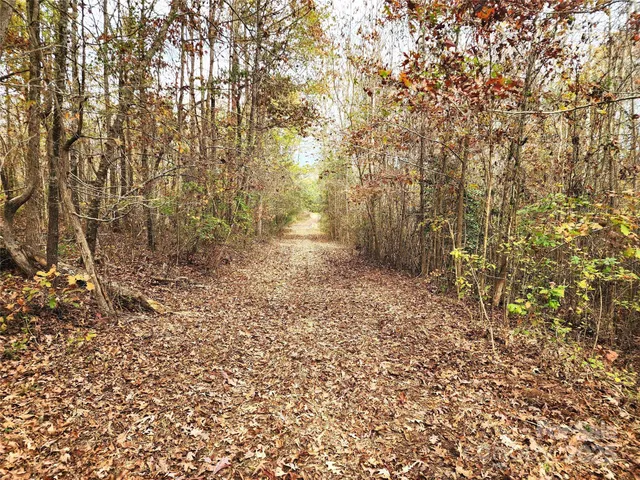 a view of backyard with green space