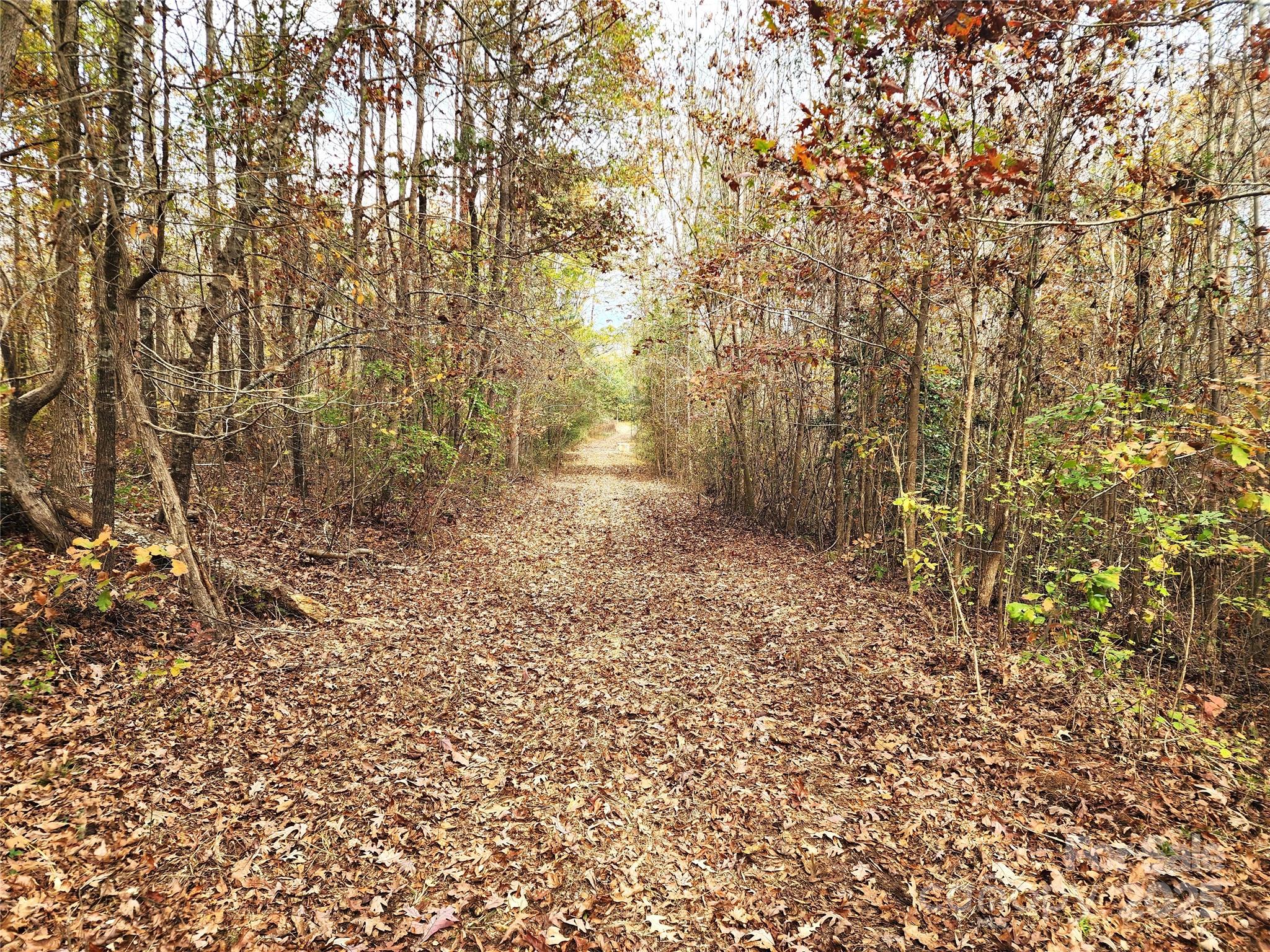 2351 Reges Store Road Nashville, NC 27856 - Photo 16 of 48 a view of a yard with large trees