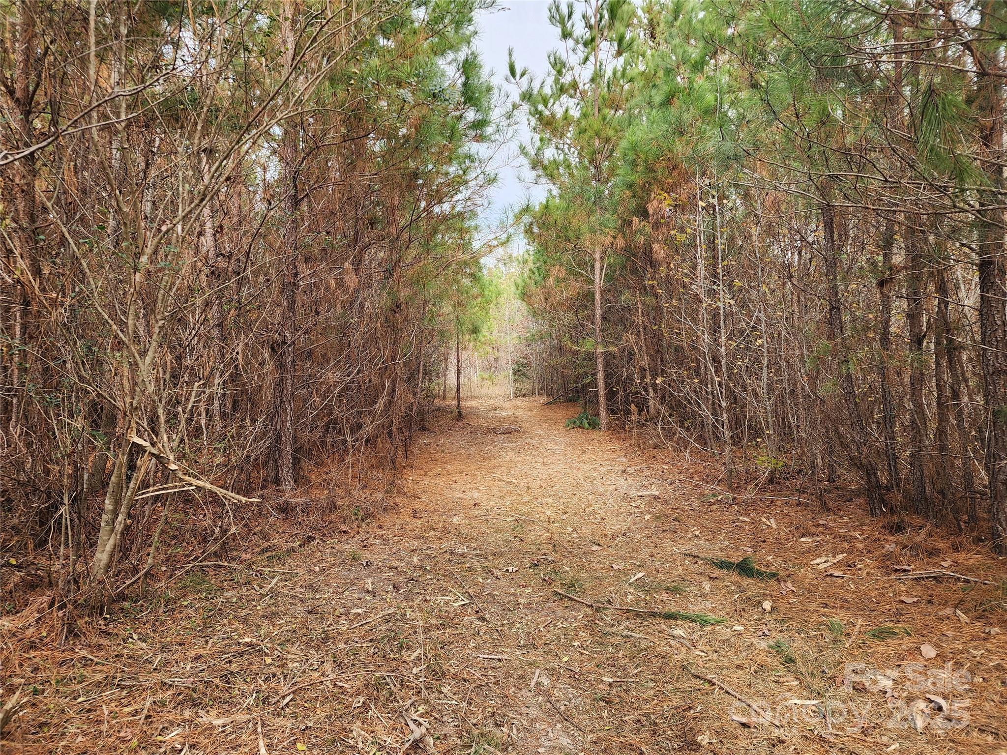 2351 Reges Store Road Nashville, NC 27856 - Photo 18 of 48 a view of backyard with green space