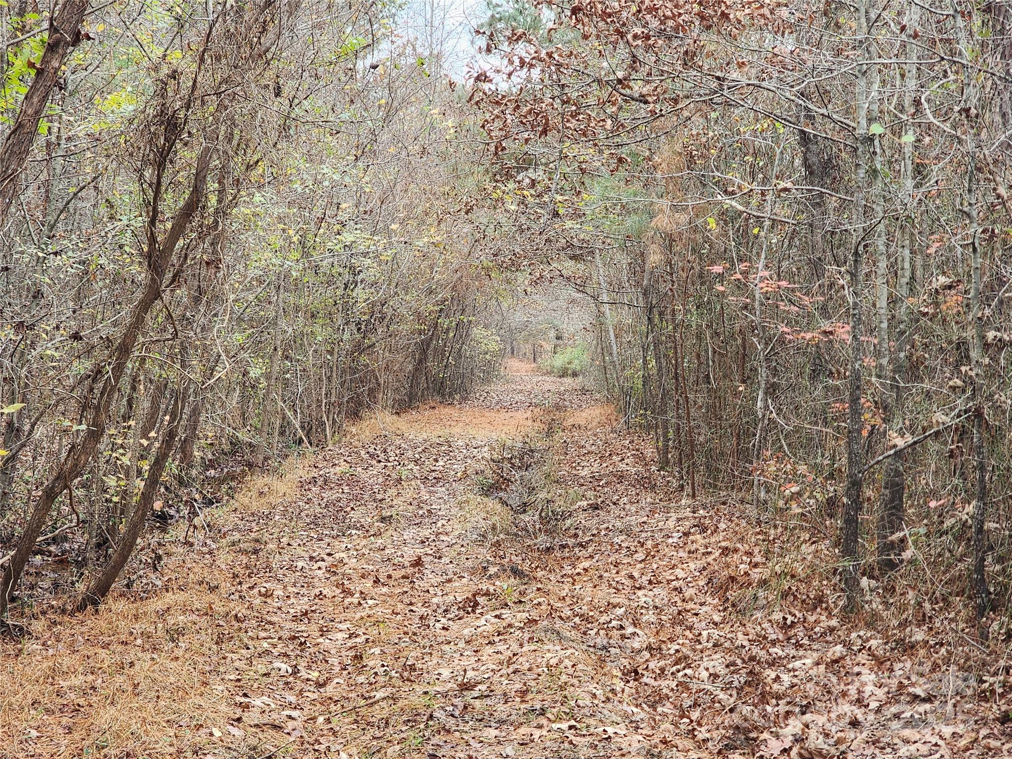 2351 Reges Store Road Nashville, NC 27856 - Photo 25 of 48 a view of empty room