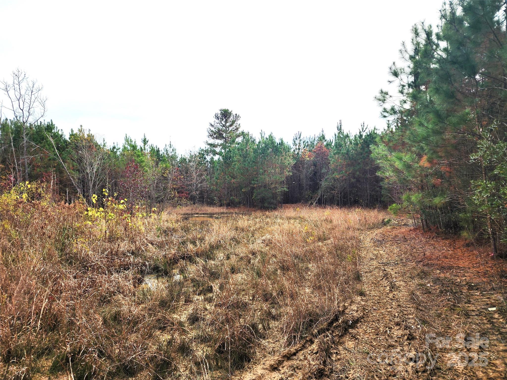 2351 Reges Store Road Nashville, NC 27856 - Photo 28 of 48 a view of a yard