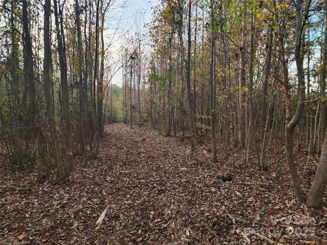 a view of outdoor space and garden